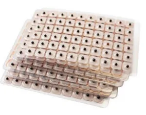 Auricular therapy pellets