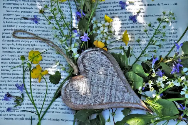 Open book lying among wildflowers
