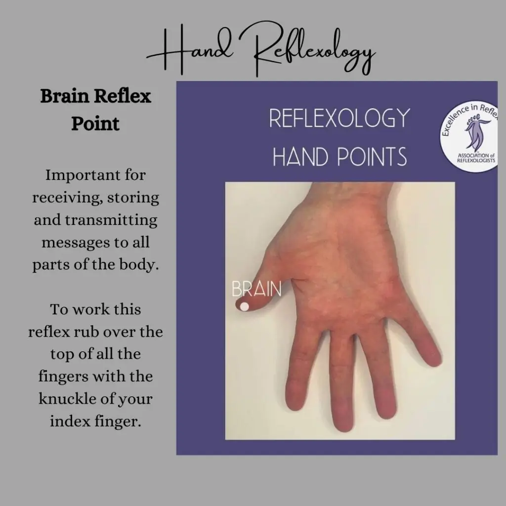 Brain reflex point on a foot map