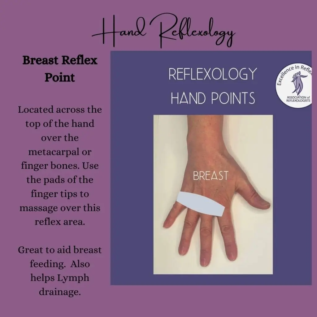 Breast reflex point on a foot map