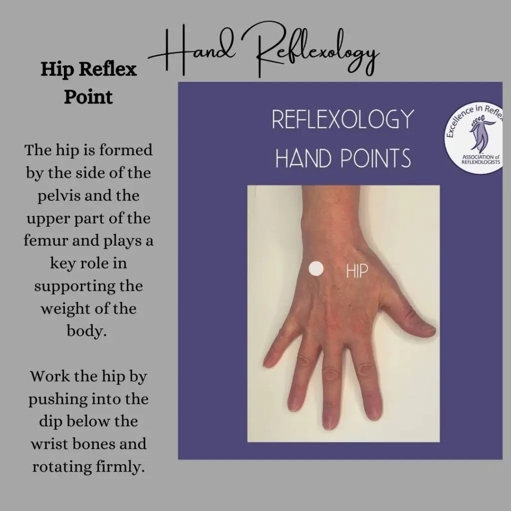 Hip reflex point on a foot map