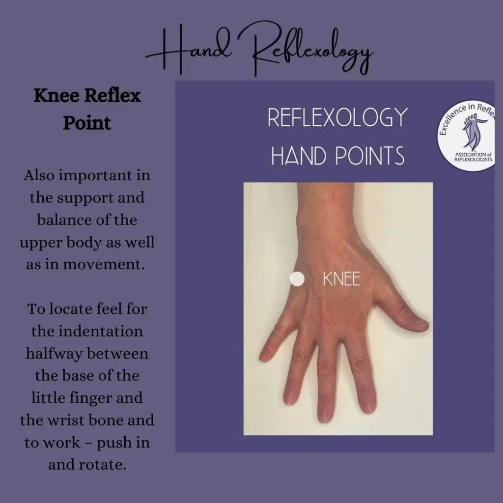 Knee reflex point on a foot map