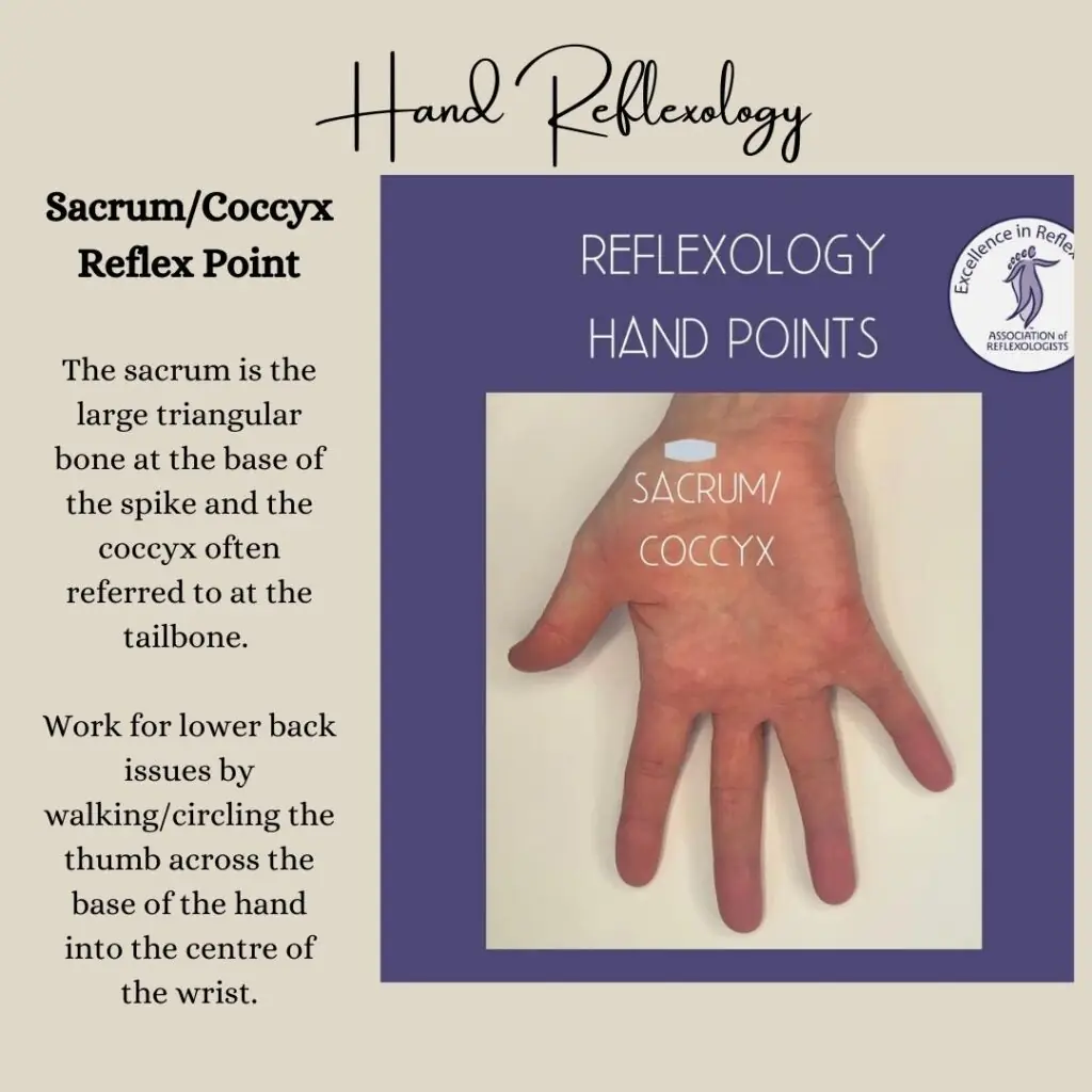 Sacrum and coccyx reflex points on a foot map