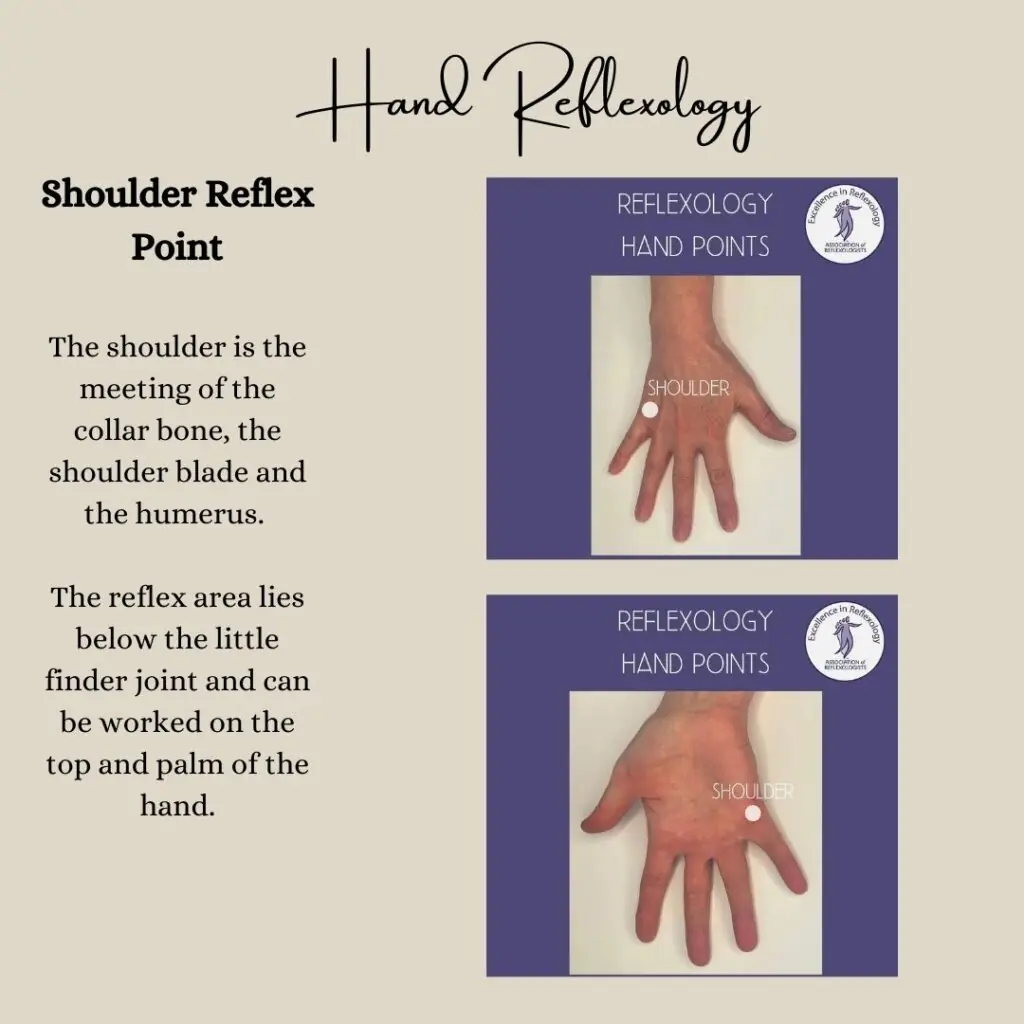 Shoulder reflex point on a foot map