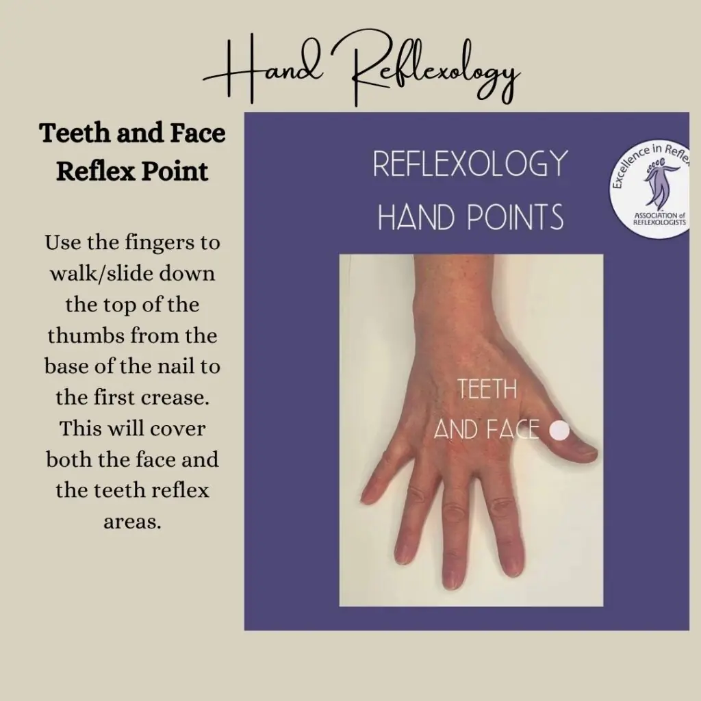 Teeth and face reflex points on a foot map