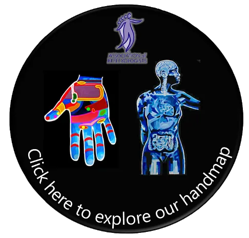 Reflexology hand map